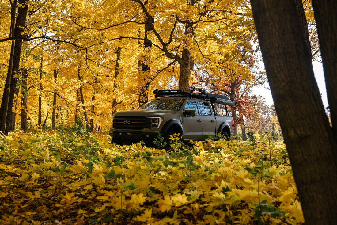 2021 BTR Edition F-150 Tremor (SEMA project) - BTRcarcustoms