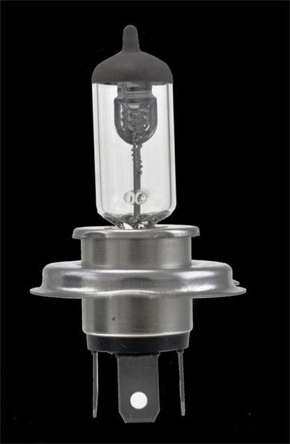 Hella H4 24V 75/70W P43t T4.625 Halogen Bulb (Min Order Qty 10)